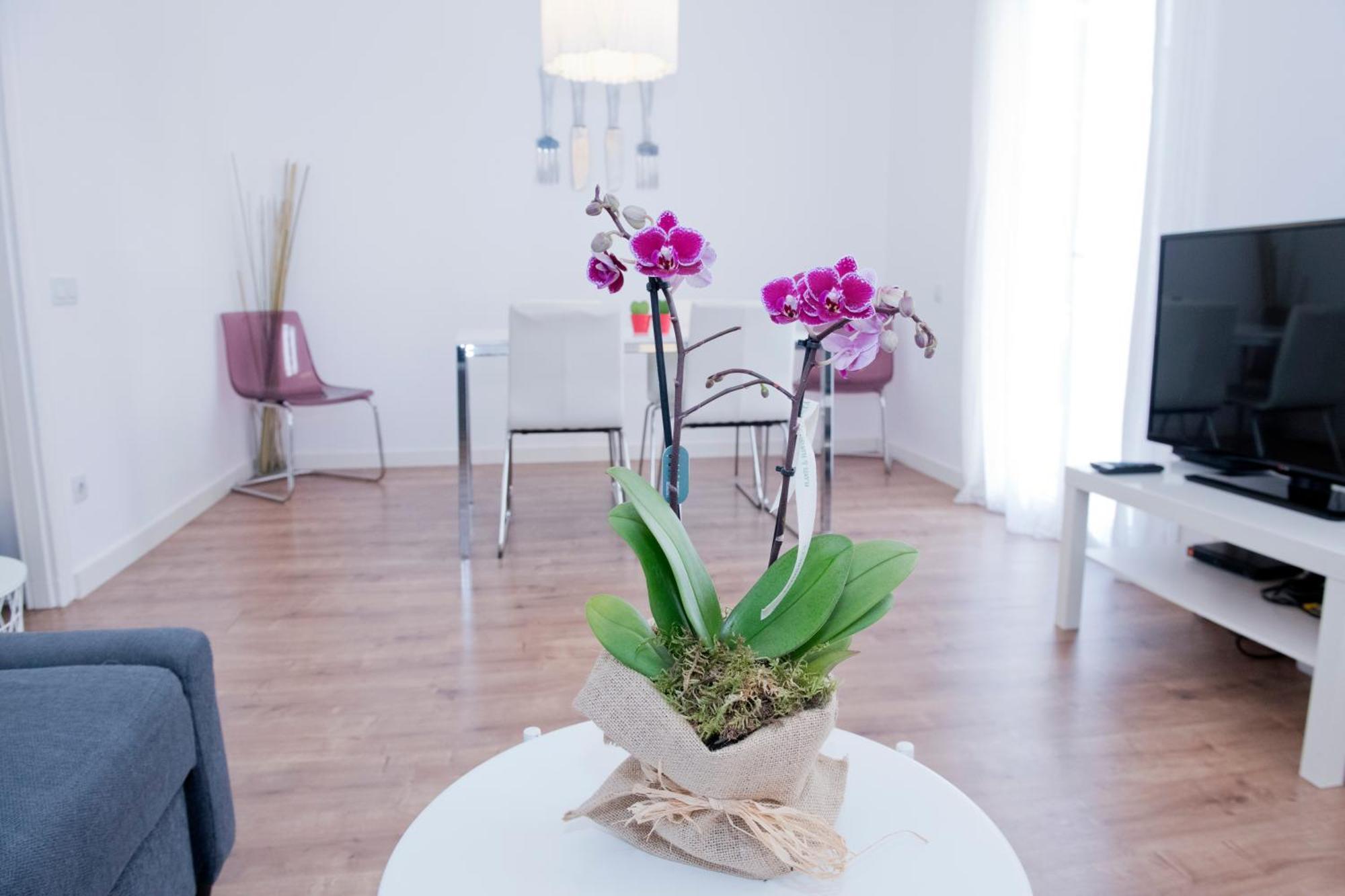 Apartamento Gaudi-Sant Pau Barcelona Eksteriør billede